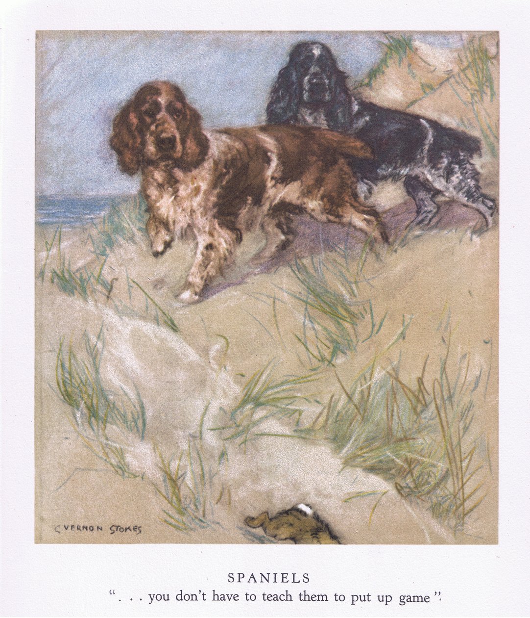 Spaniels by George Vernon Stokes
