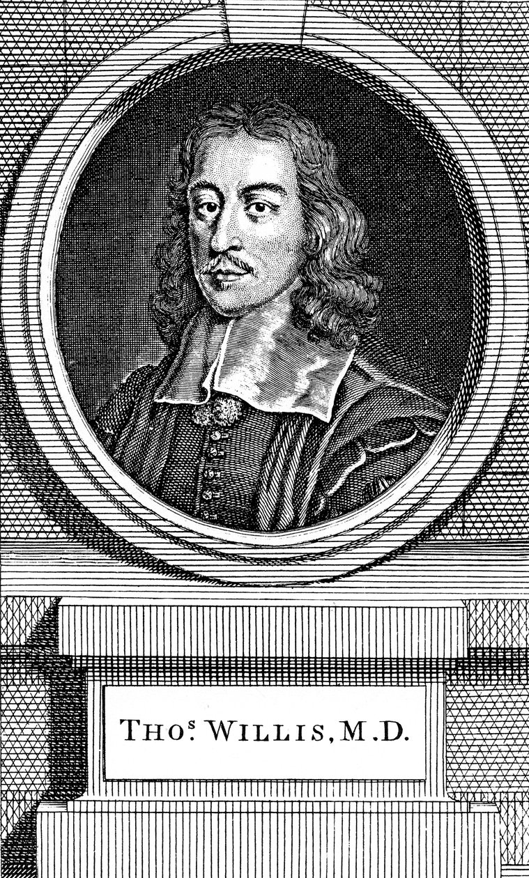 Thomas Willis, 17th Century English Physician, 1742 by George Vertue