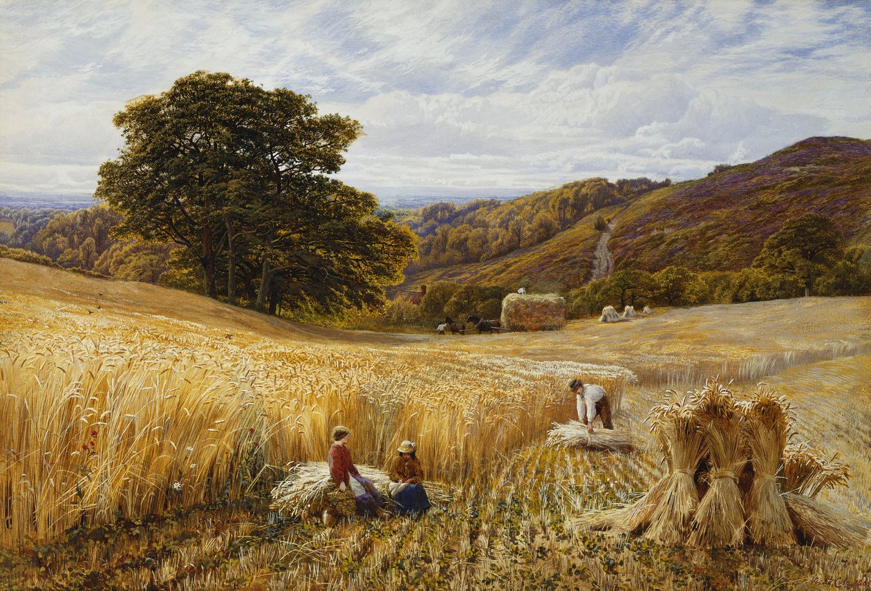 Harvest Time Near Holmbury Hill, Surrey by George Vicat Cole