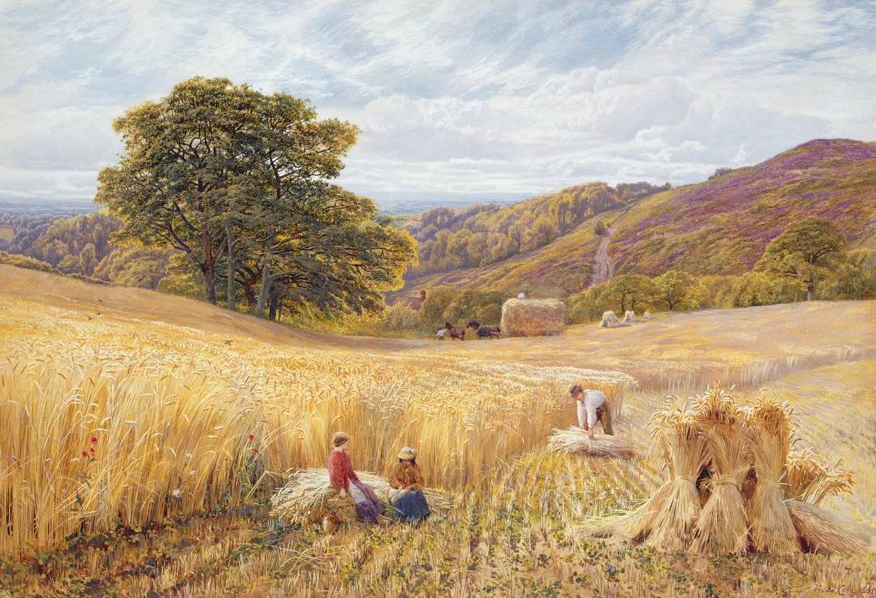 Harvest Time near Holmbury Hill, Surrey, 1865 by George Vicat Cole