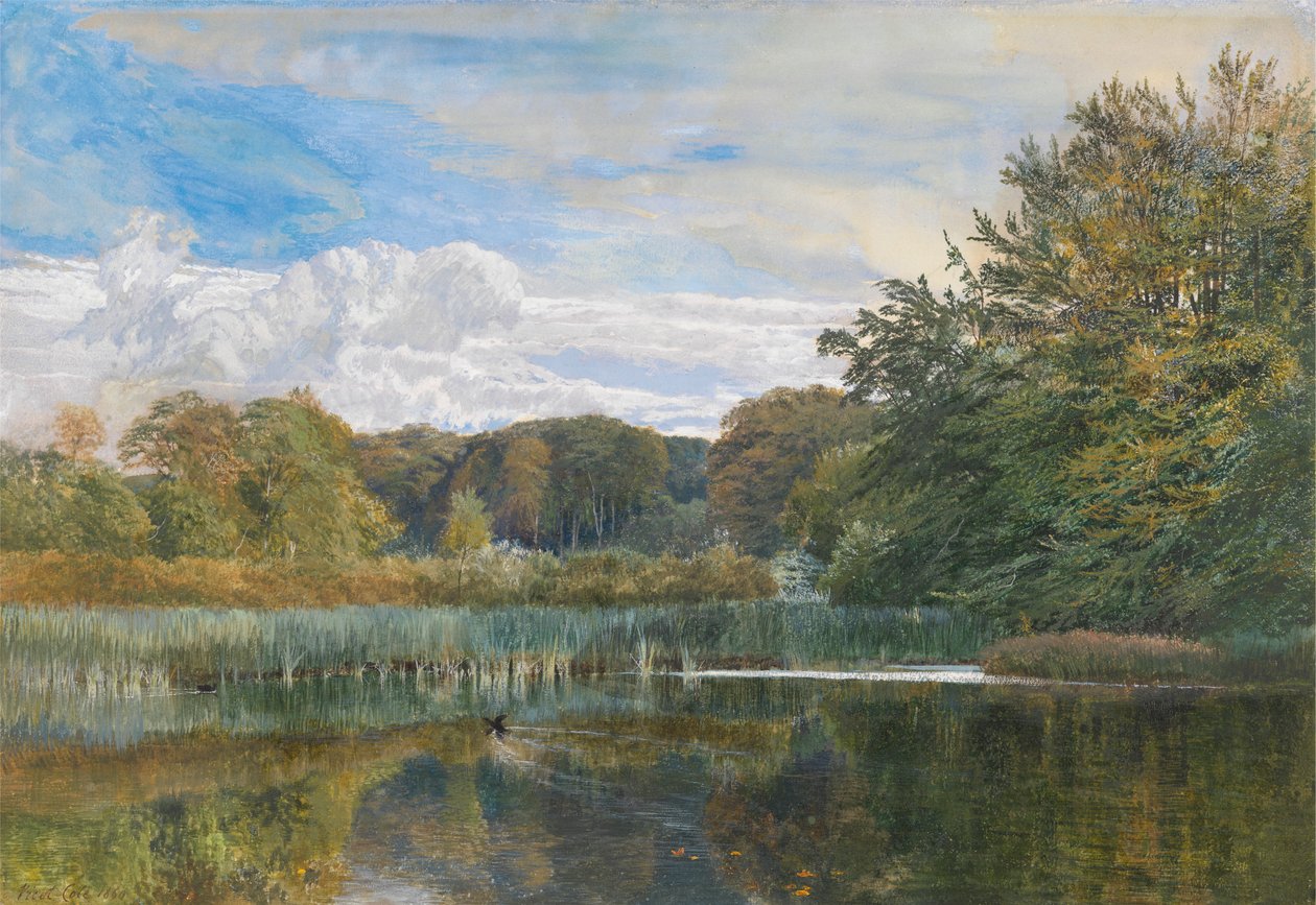 The Mill Pond, Evelyn Woods by George Vicat Cole