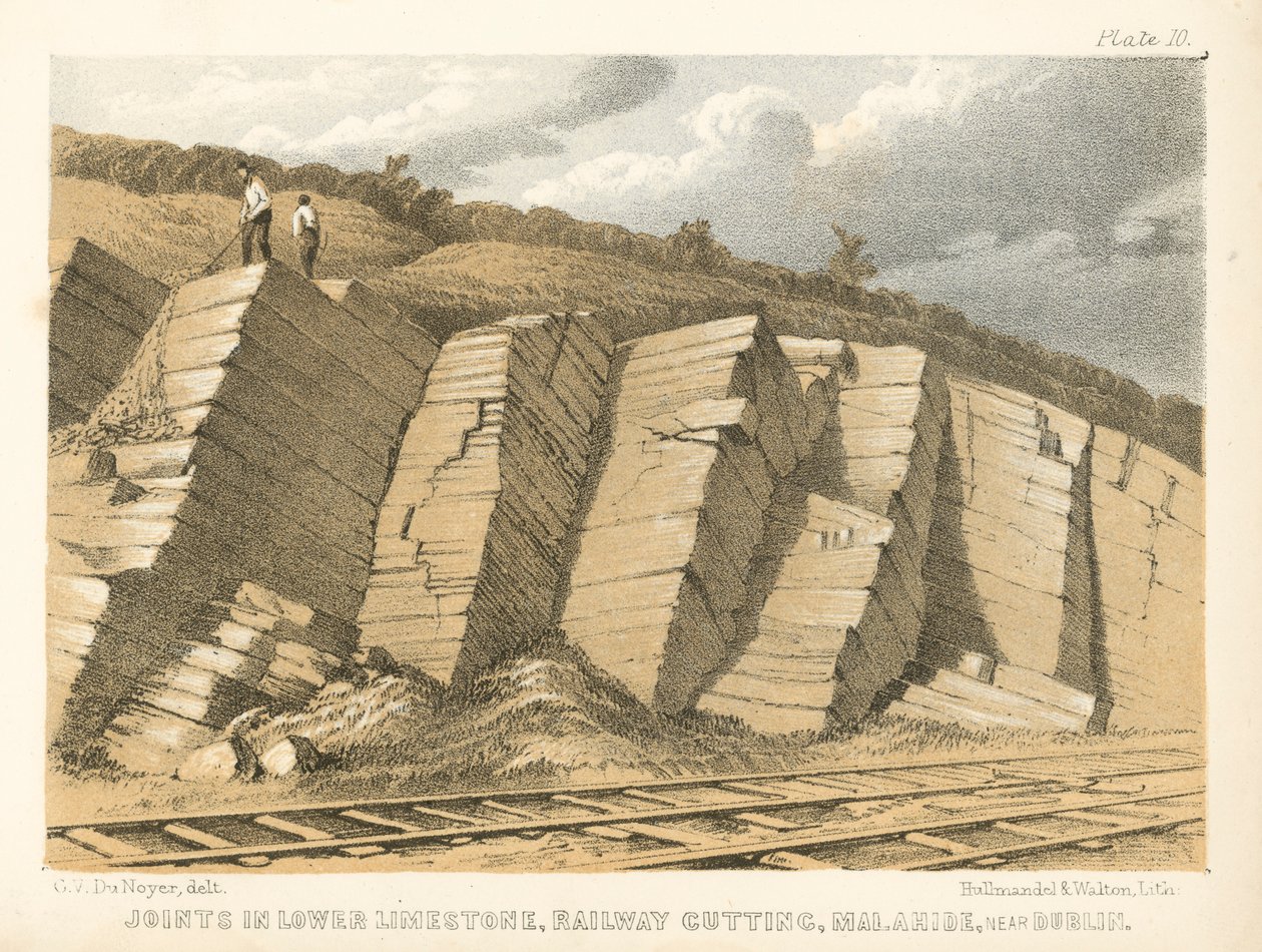 Joints in Lower Limestone, Railway Cutting, Malahide, near Dublin by George Victor Du Noyer