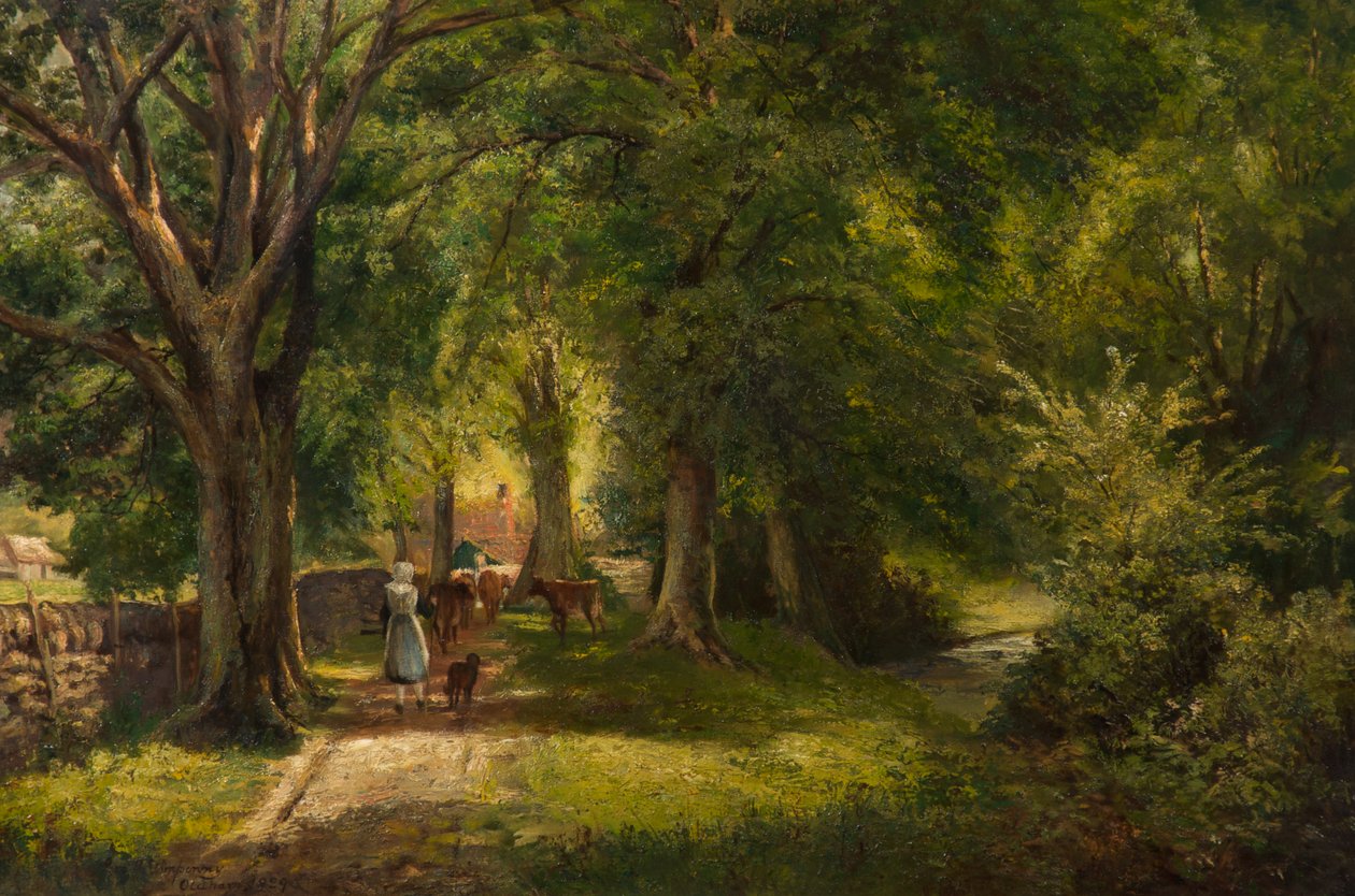 The Woods, Betts-Y-Coed by George Wimpenny