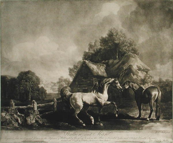 Stallion and Mare, engraved by George Townley Stubbs, 1776 by George after Stubbs