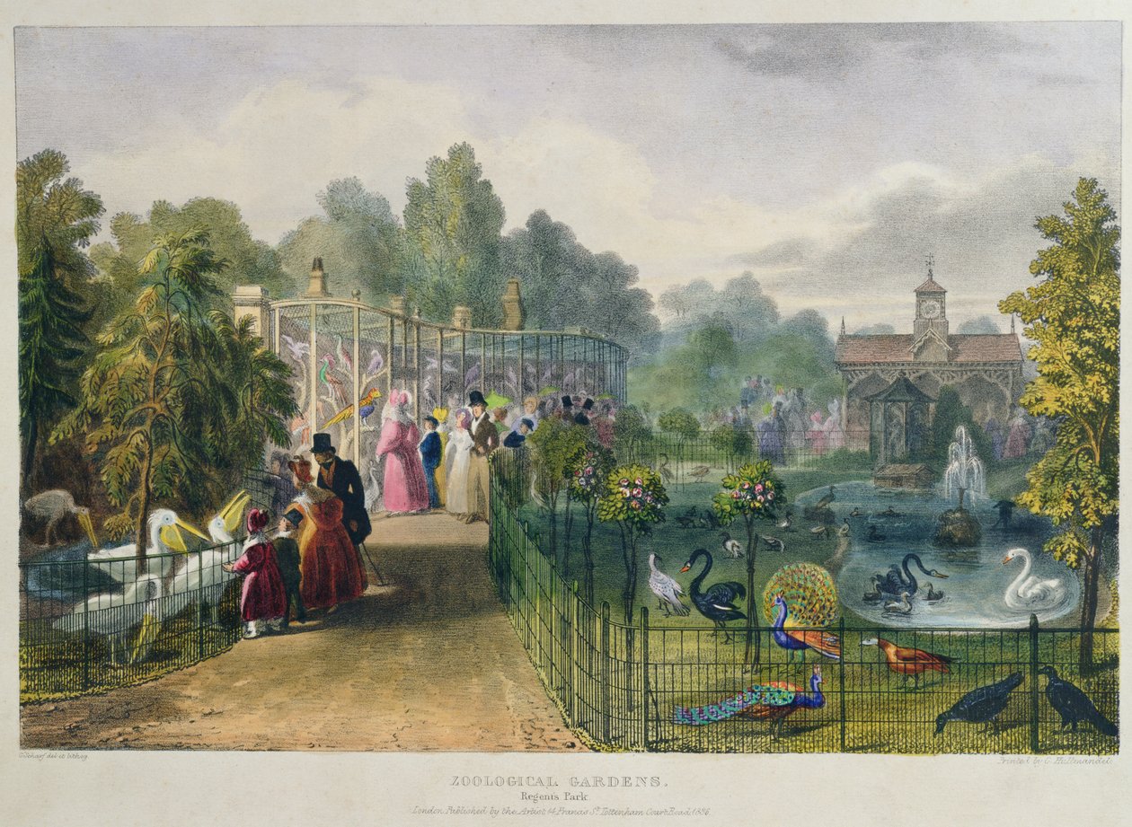 The Aviary at the Zoological Gardens, Regent