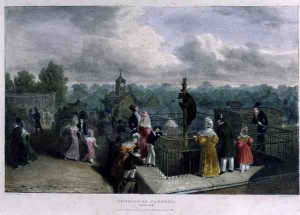 The Bear Pit at the Zoological Gardens, Regent