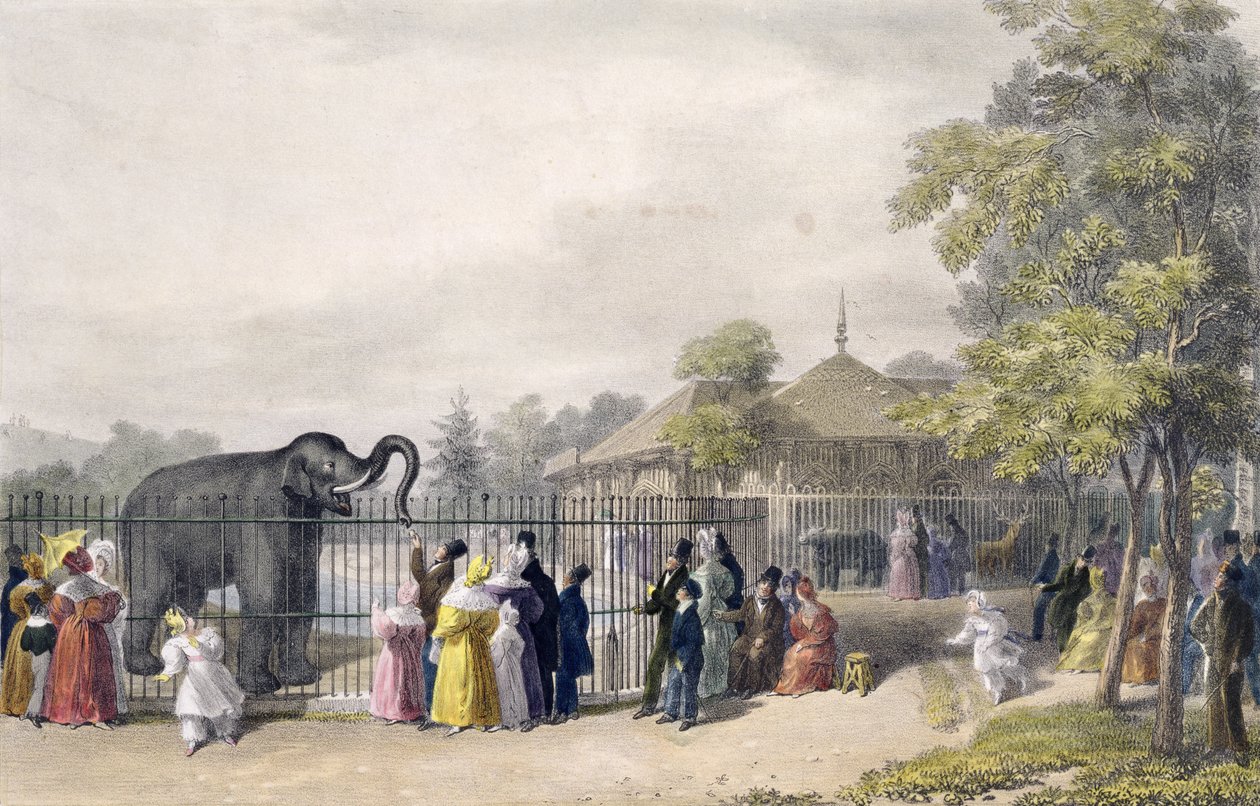 The Elephant House at the Zoological Gardens, Regent