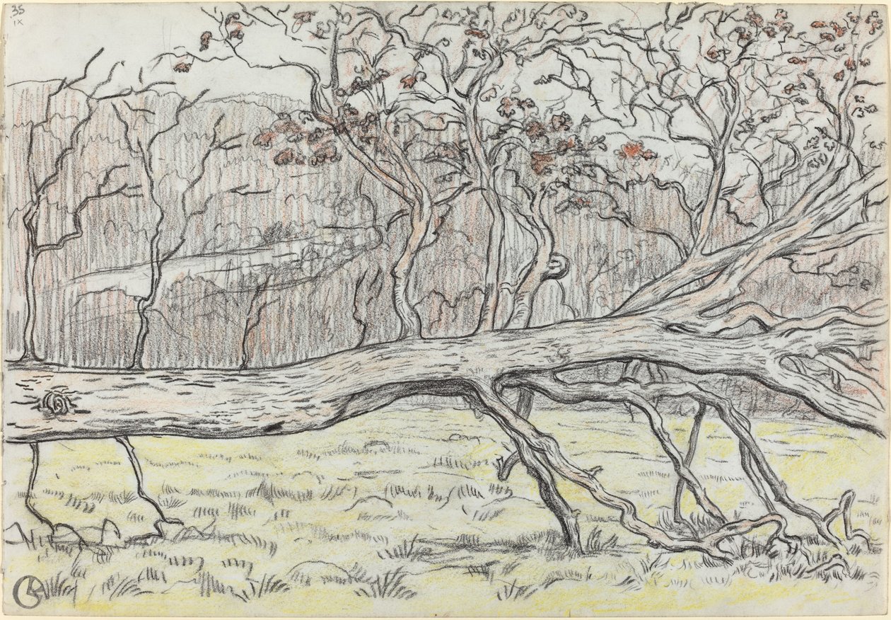 Felled Tree, Normandy by Georges Lacombe