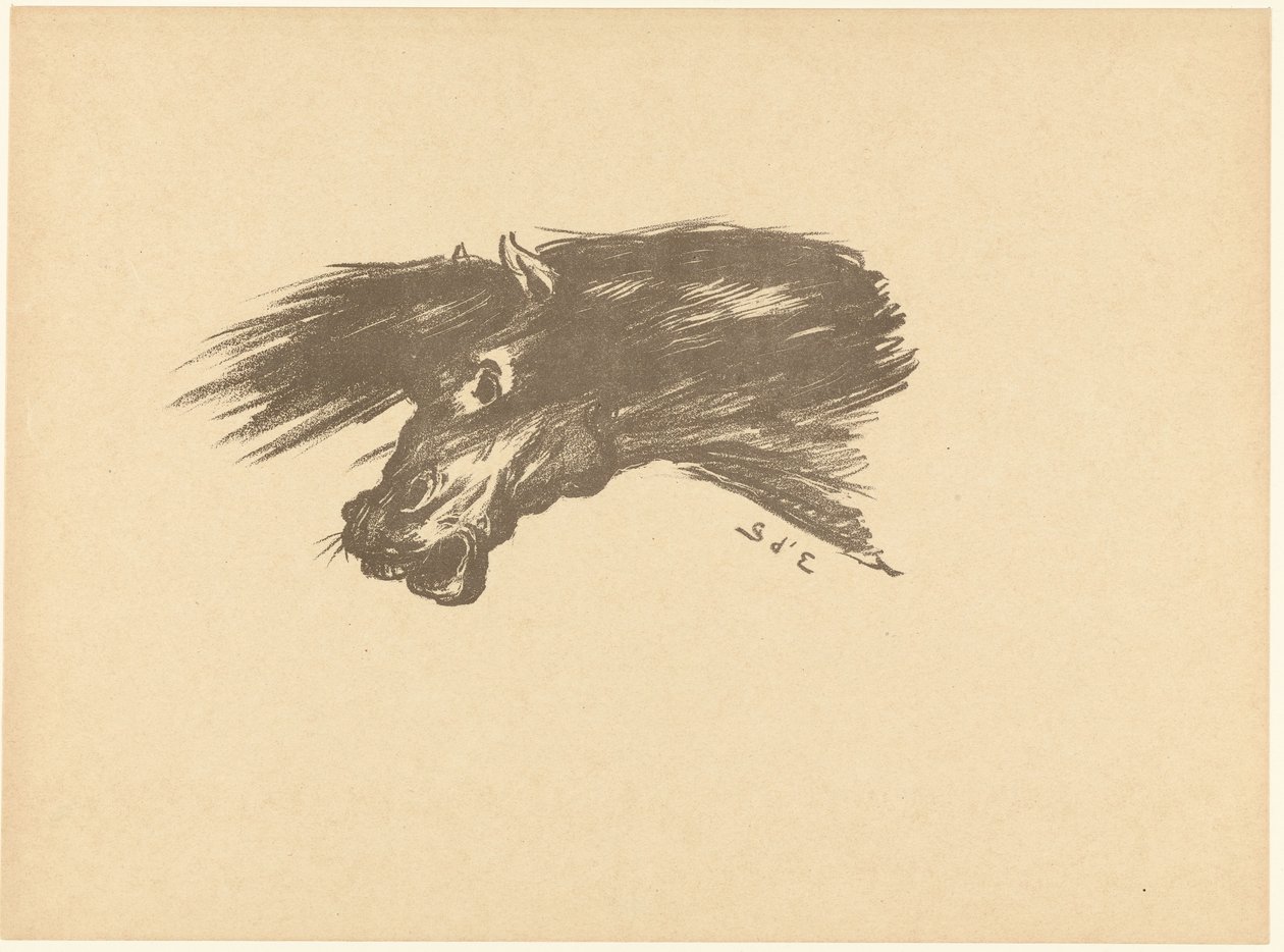 Head of a Horse Etude L