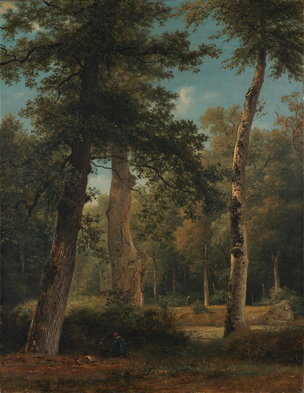 A Forest in Fontainebleau by Georgius Jacobus Johannes van Os