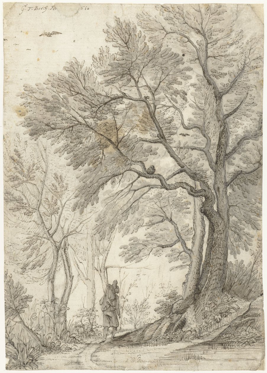 Forest of the Villa Madama outside Rome by Gerard ter Borch