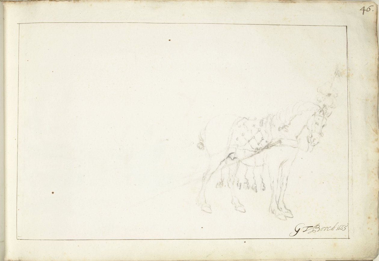 Horse, Facing Right by Gerard ter Borch (II) (signed by artist)