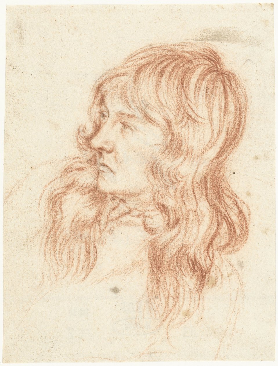 Head of a Young Man Facing Left by Gerard ter Borch (II)