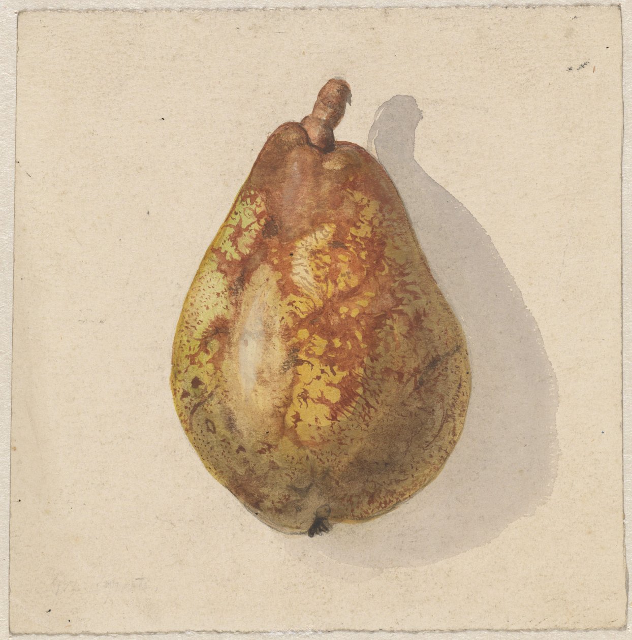 Pear by Gerardina Jacoba van de Sande Bakhuyzen