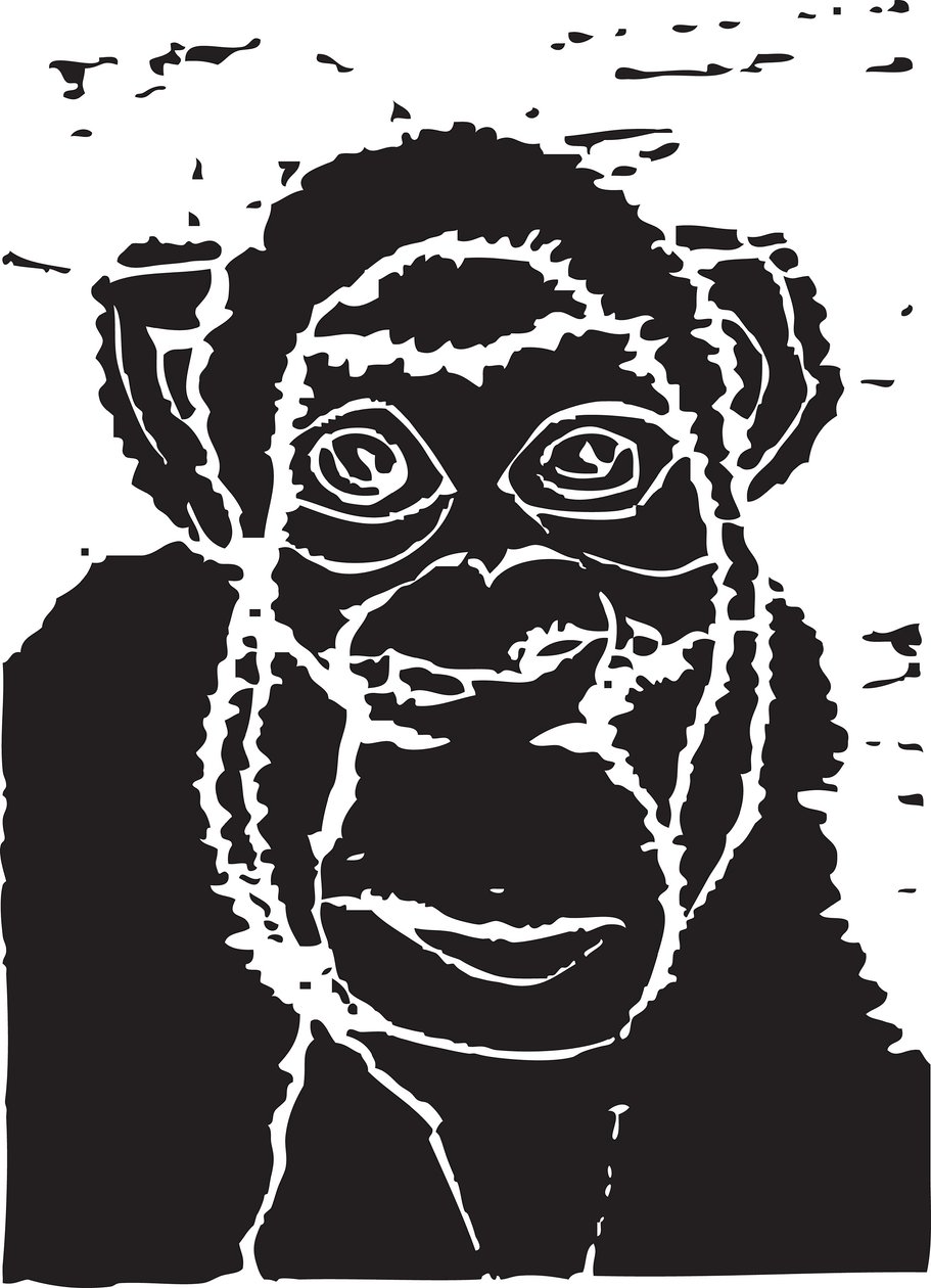 Chimpanzee by Gerhardt Isringhaus