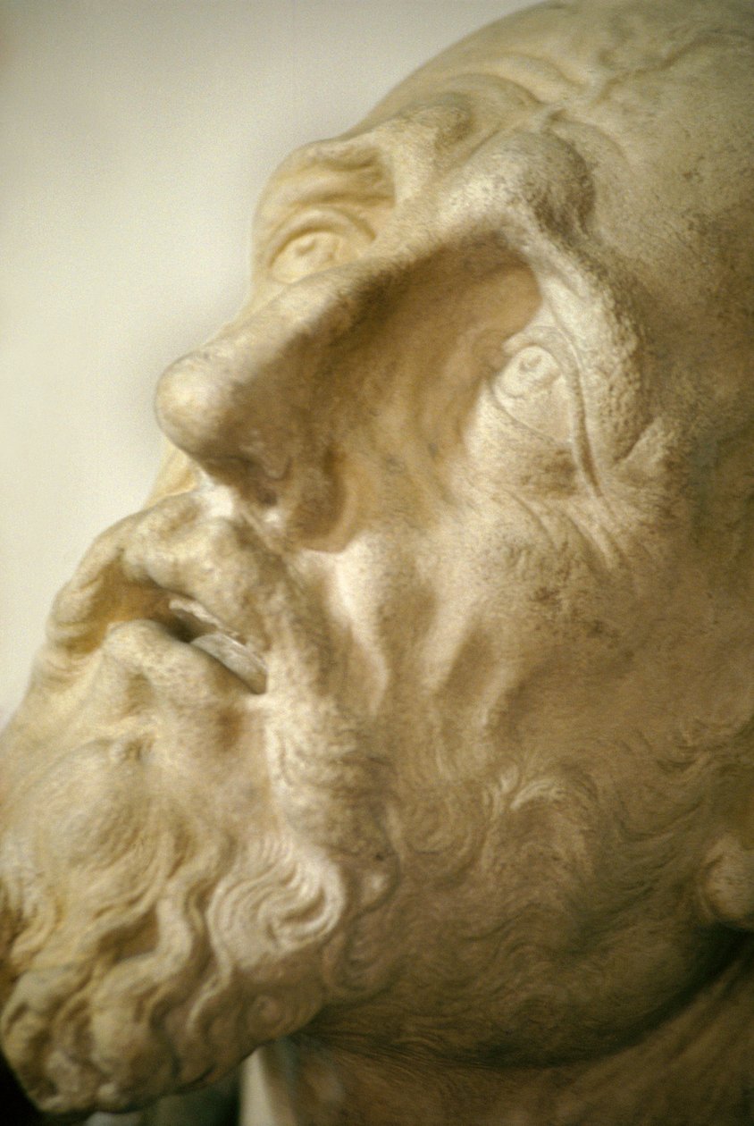 St. Francis Receiving the Stigmata (detail of the Head)