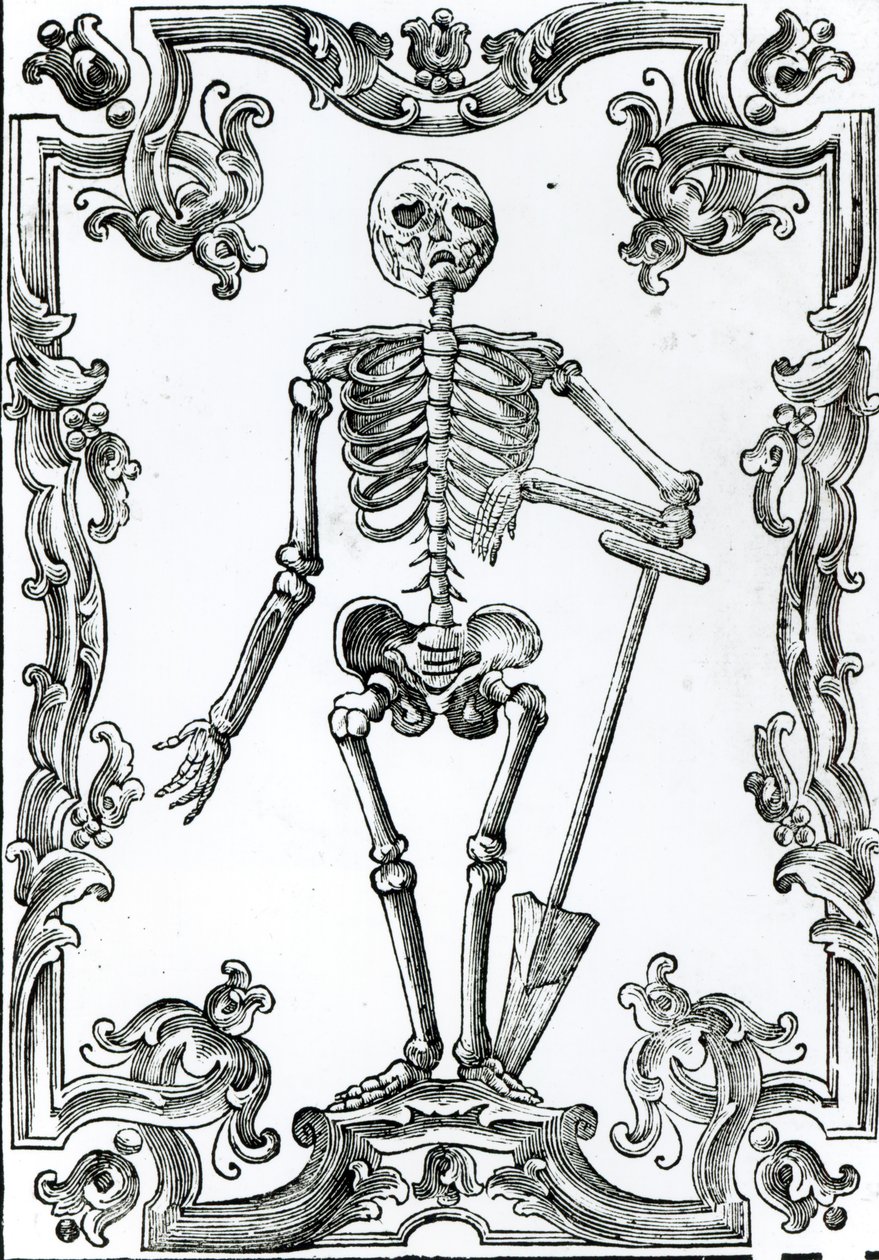 Skeleton with a Shovel by German School