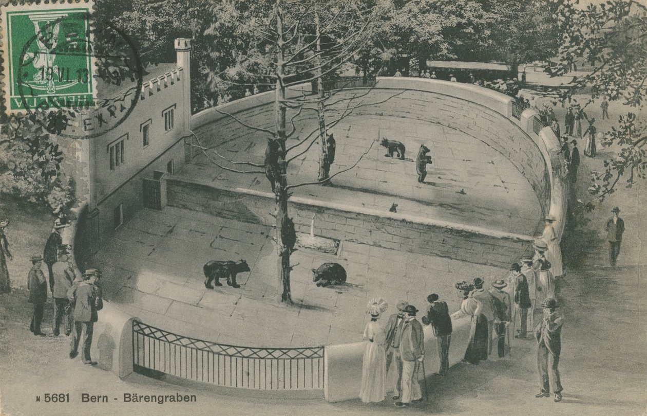 Bern Zoo, Bear Garden by German Photographer