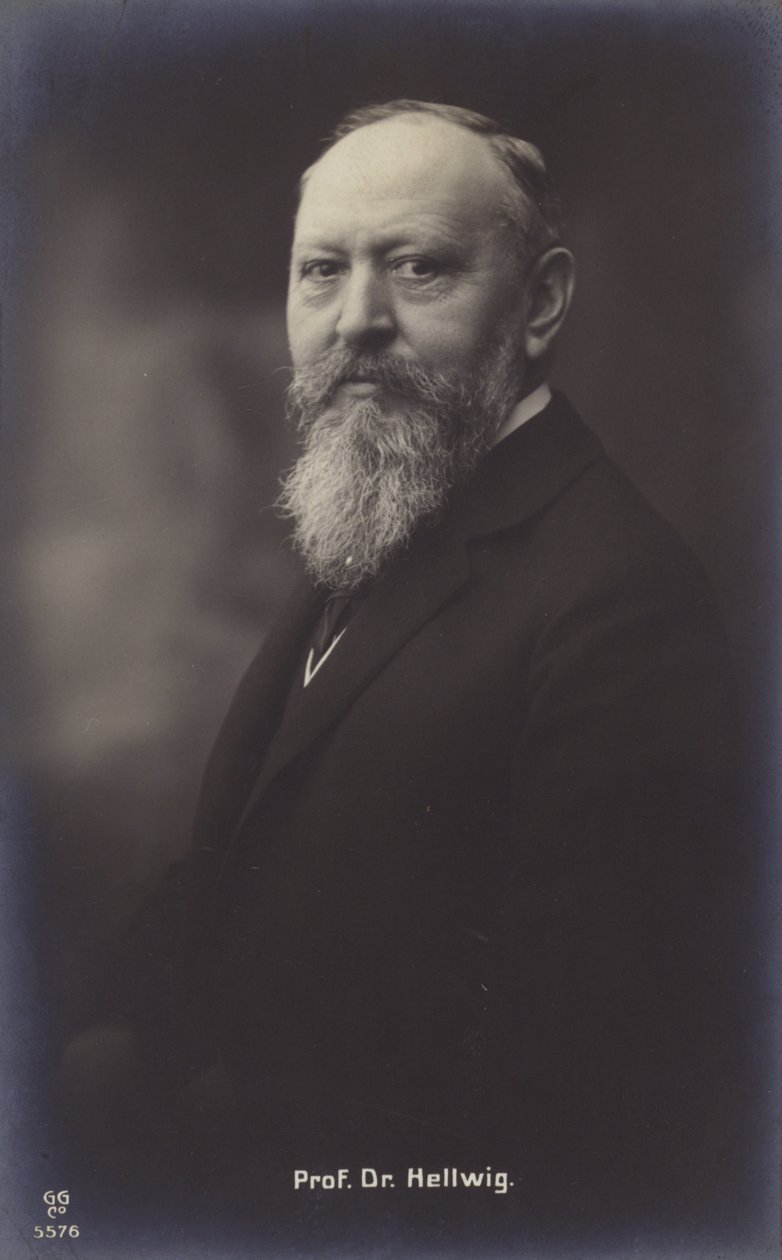Professor Doctor Hellwig by German Photographer