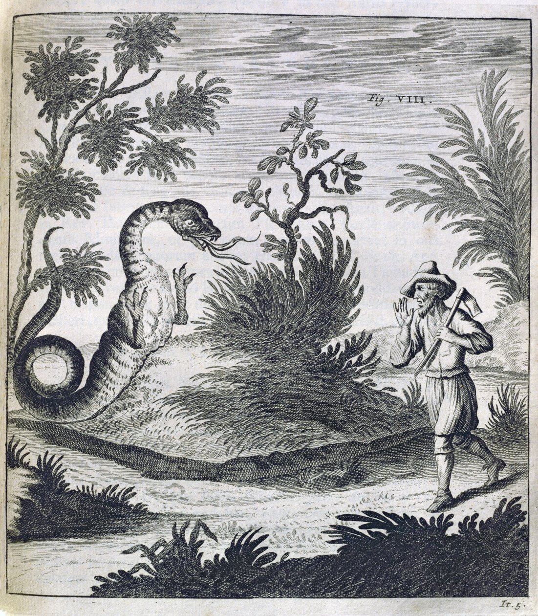 A Fearful Dragon by German School