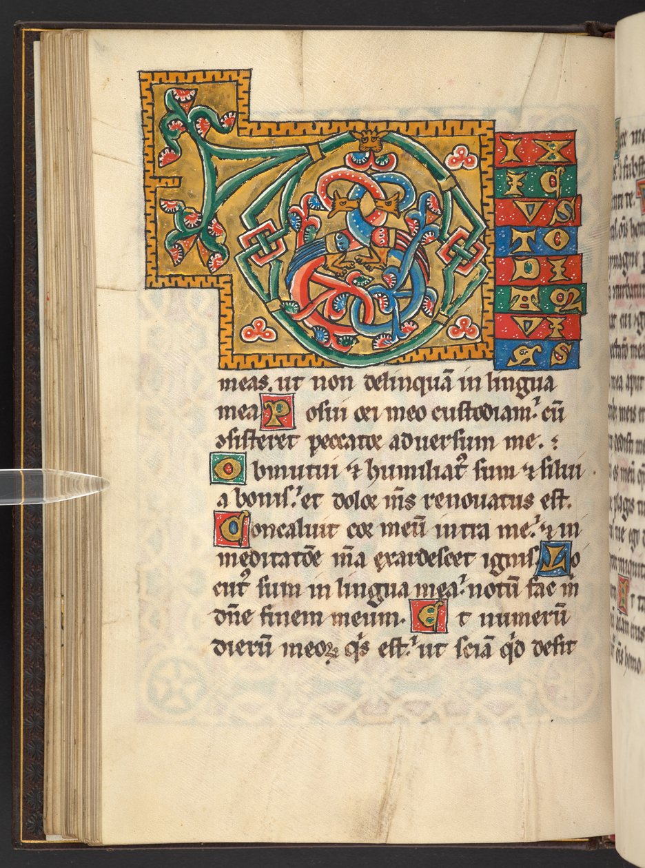 Add. 60629, f.43v Large framed initials in gold and colours with foliate and sometimes zoomorphic and anthropomorphic ornament by German School