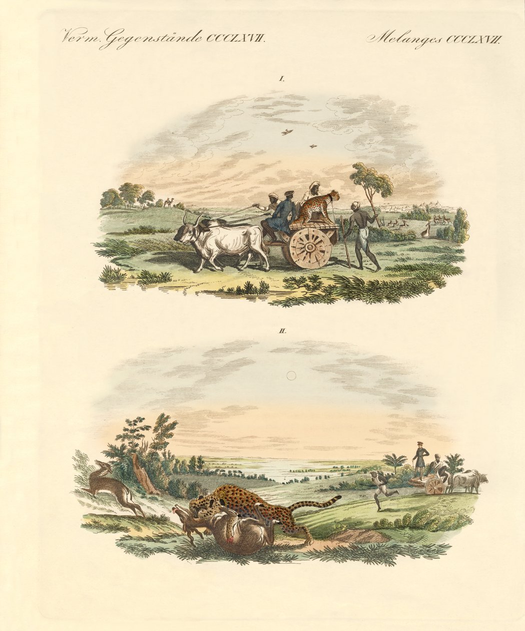 Antelopes Hunting with Leopards by German School