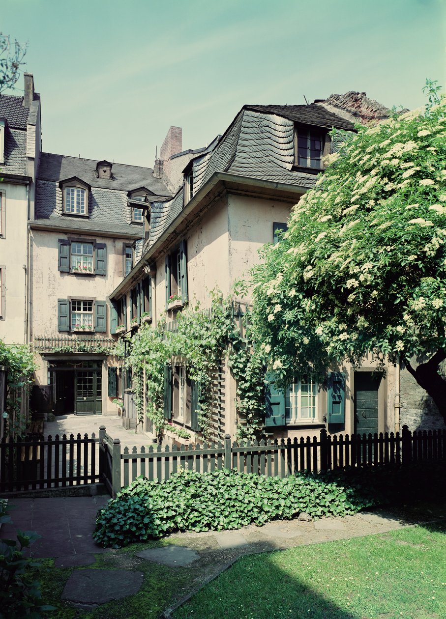 Birthplace of Ludwig van Beethoven at Bonngasse 20, Bonn by German School