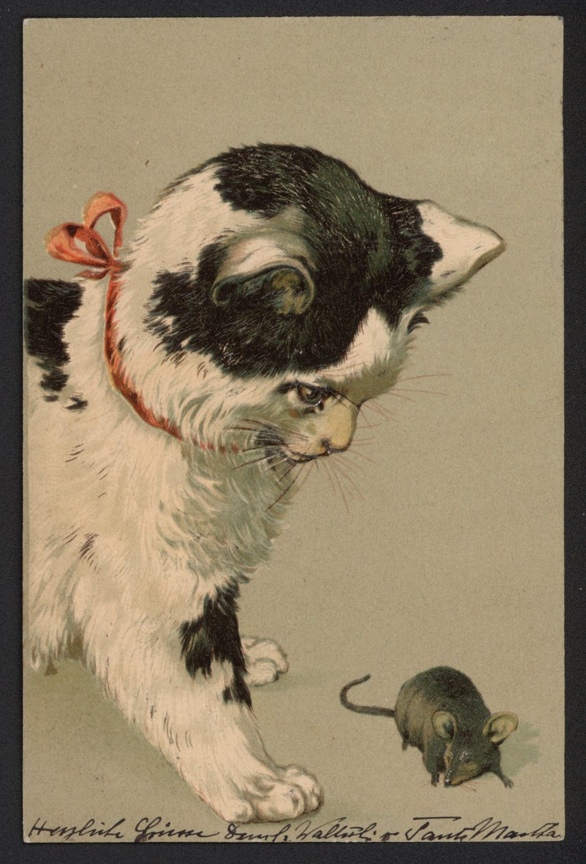 Cat Playing with a Mouse by German School