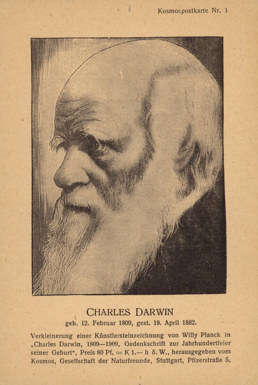 Charles Darwin (1809-1882) by German School