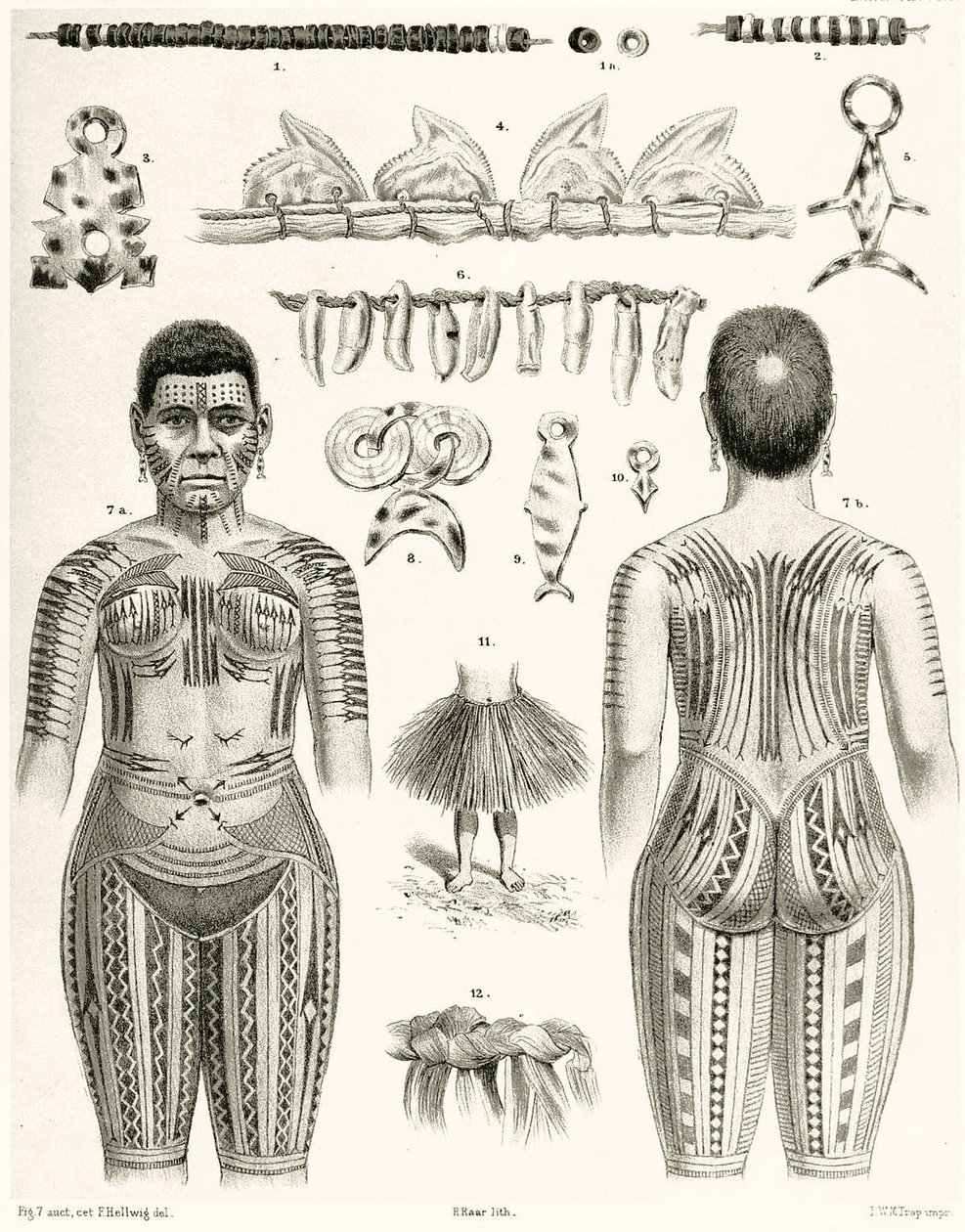 Diagram showing Polynesian Jewelry, ornaments and tattoo designs, 1888 by German School