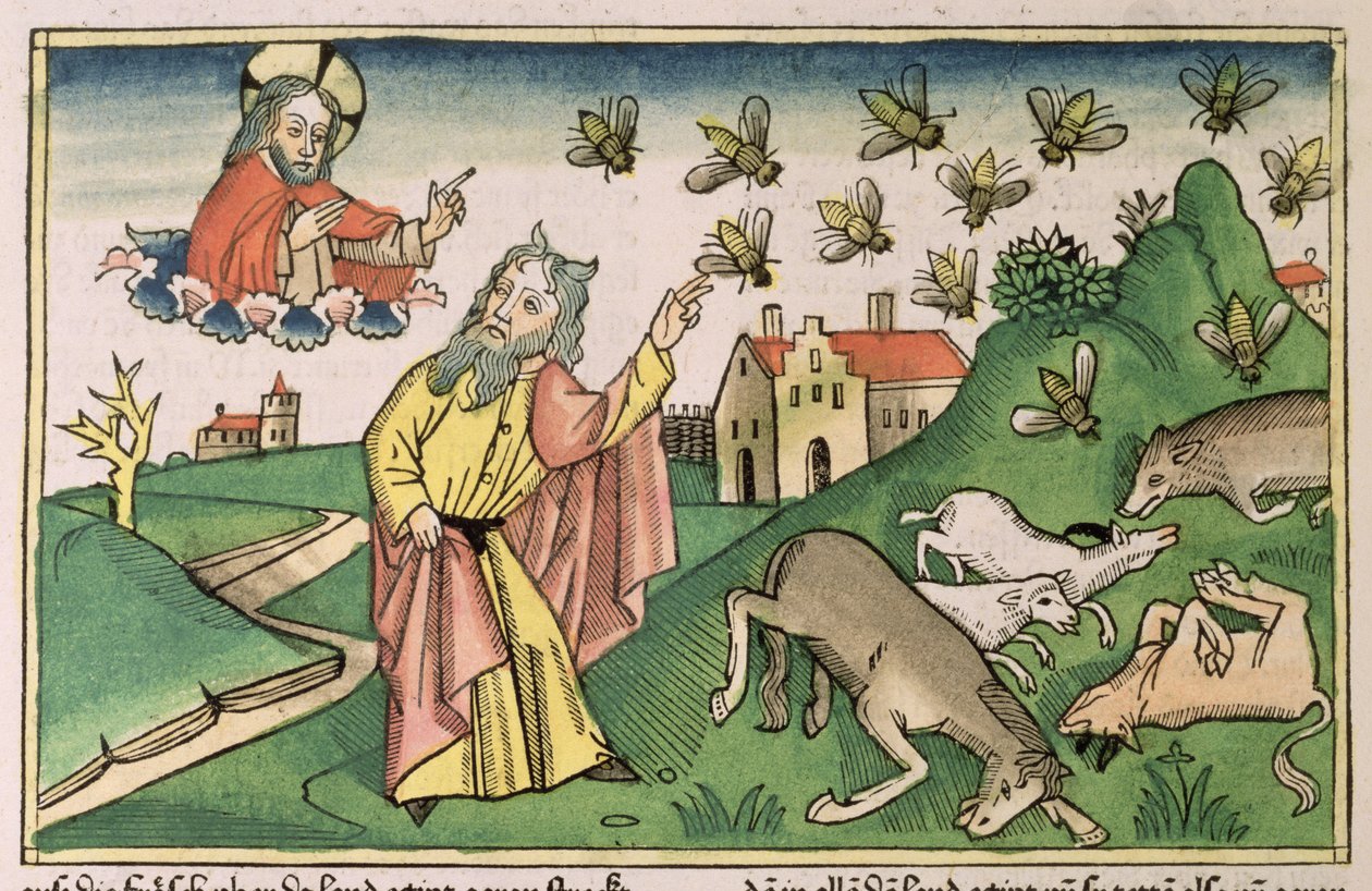 Exodus 8 20-32 The Seven Plagues of Egypt: Moses and the swarm of flies, from the 
