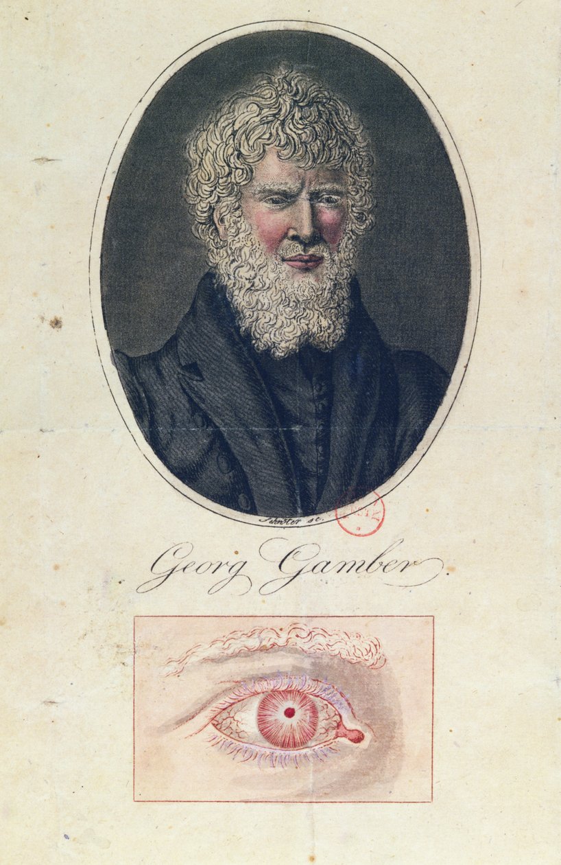 Georg Gamber, an albino by German School