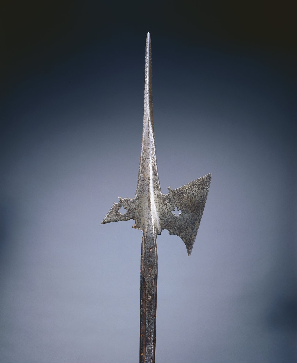 Halberd, c.1500-25 by German School