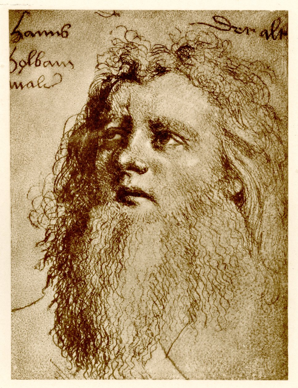 Hans Holbein the Elder (phototype) by German School