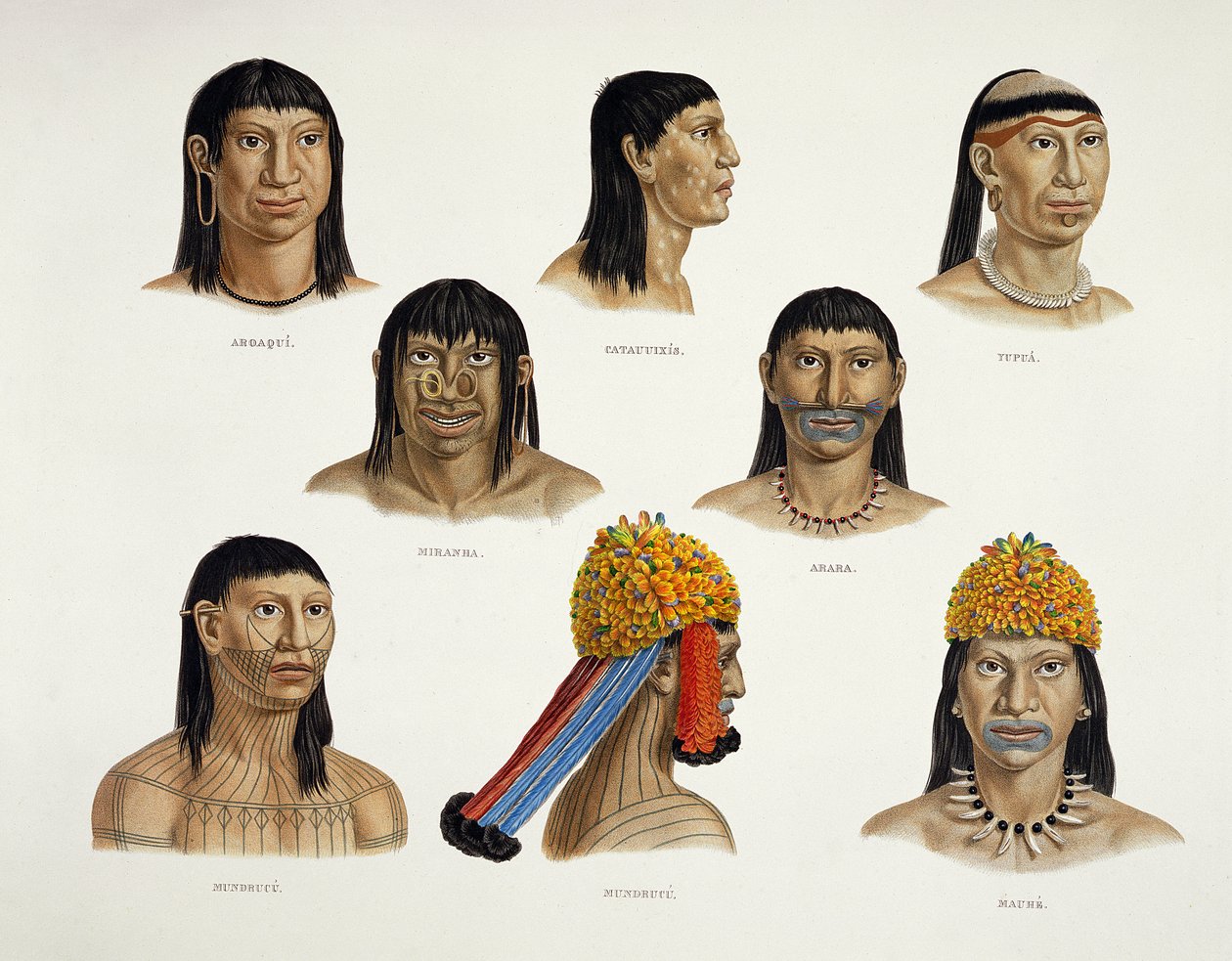 Heads of South American Indians, from Travels in Brazil by German School
