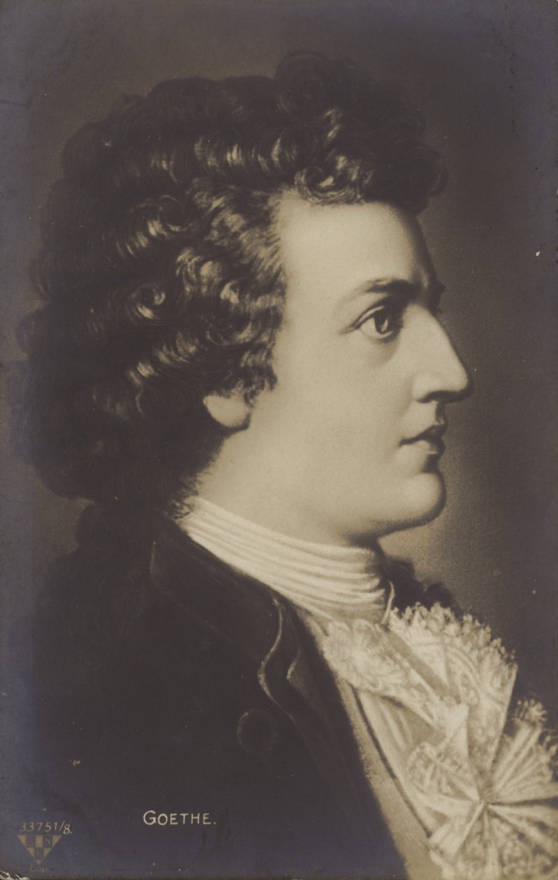 Johann Wolfgang von Goethe (1749-1832) by German School