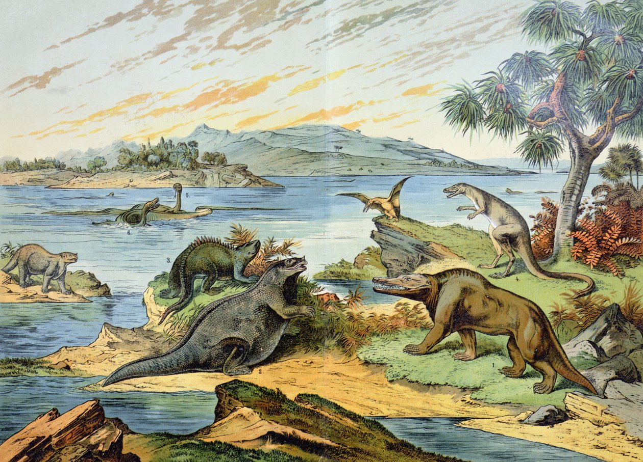 Landscape depicting the Cretaceous period (146 to 65 million years ago) illustration from Natural History of Mineralogy and Palaeontology by G.H. von Schubert, 1888 by German School