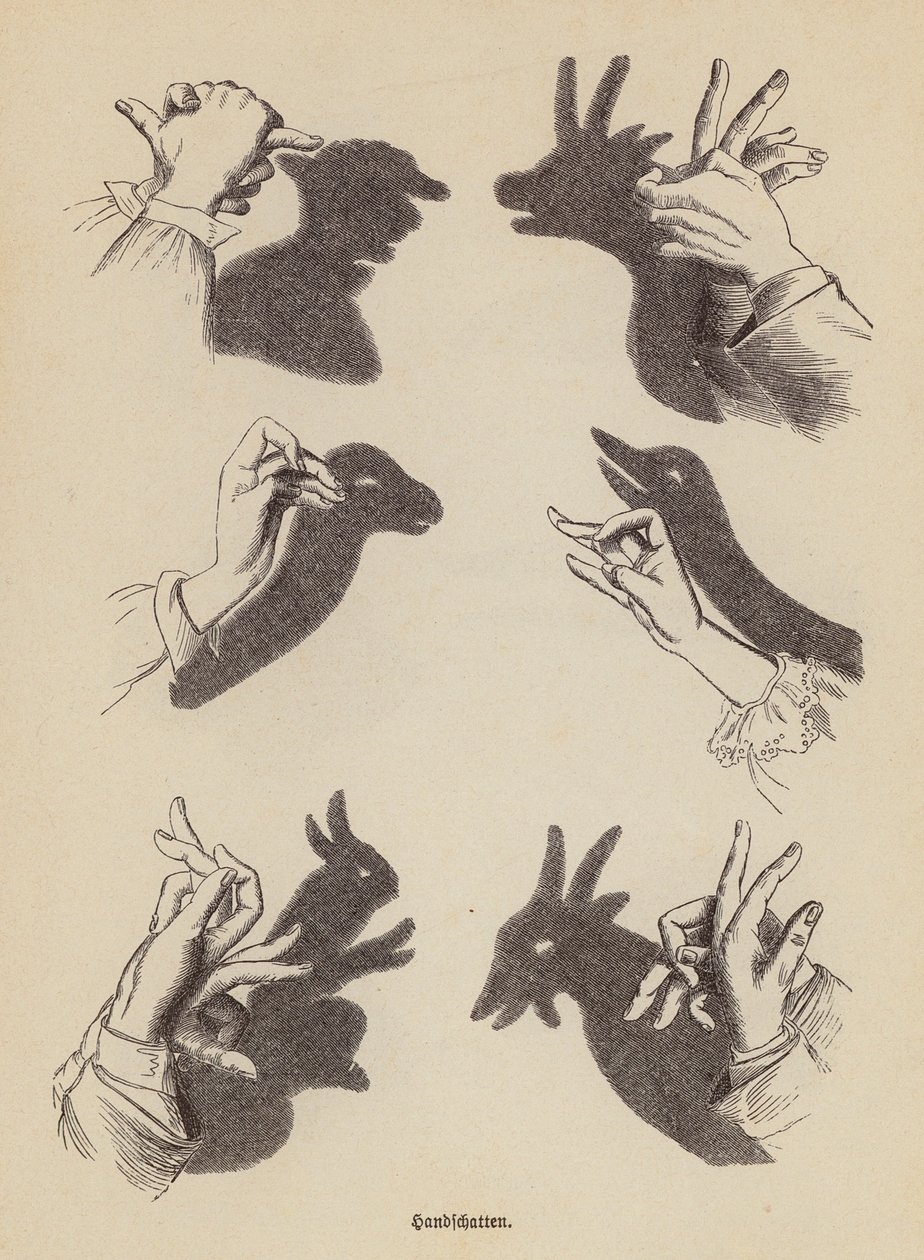 Making Shadow Animals Using the Hands by German School