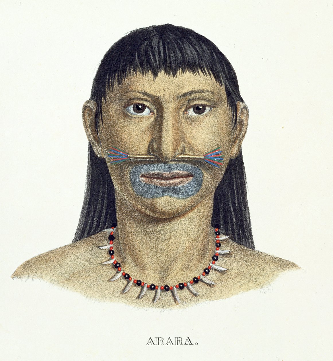 Native Man of the Arara Tribe with Blue Face Paint, from Atlas of a Journey in Brazil by Johann Baptist von Spix and Karl Friedrich Philipp Martius, published c.1835-50 by German School