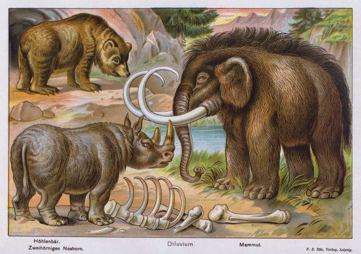 Prehistoric Mammals by German School