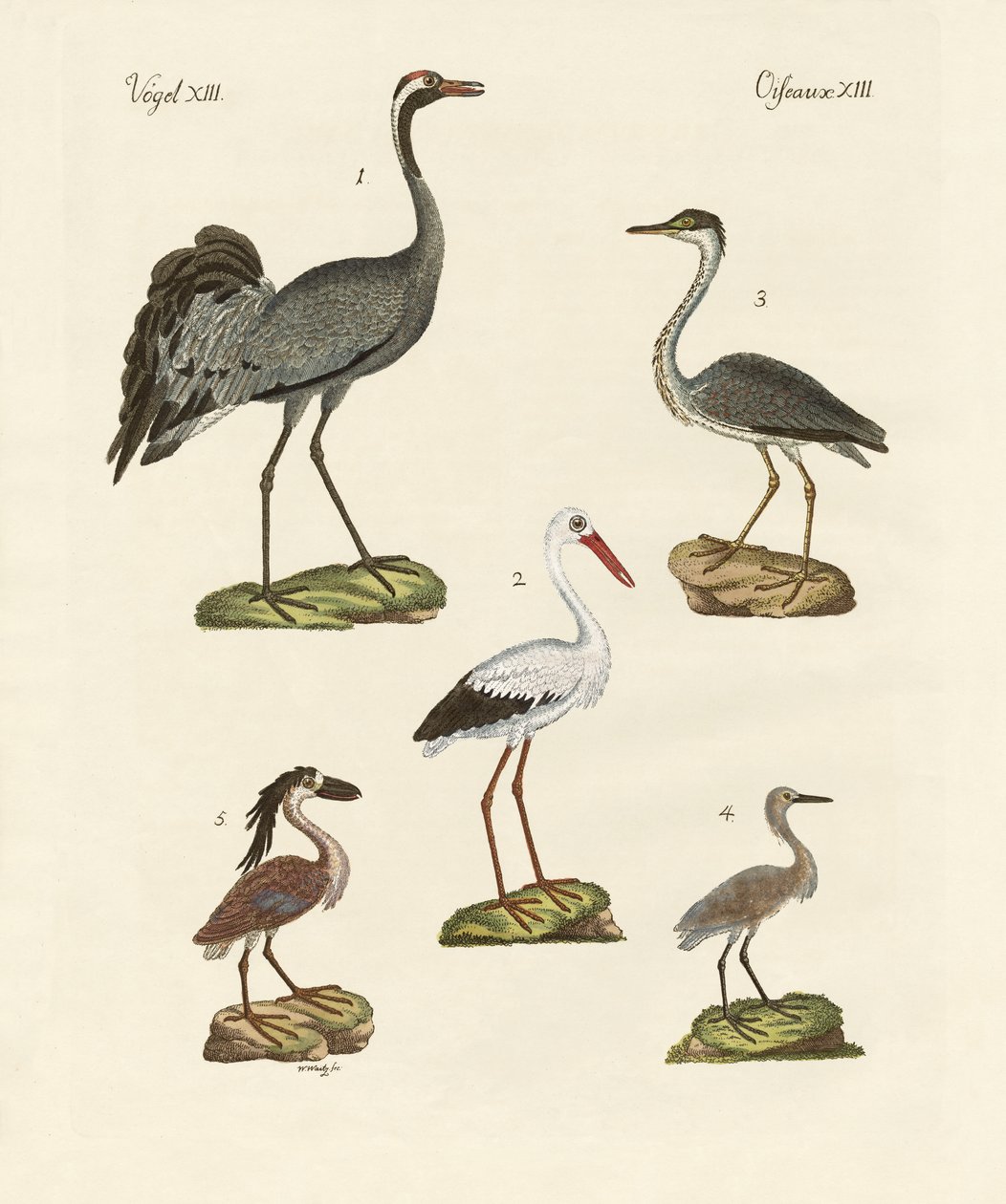 Strange Beach Birds by German School