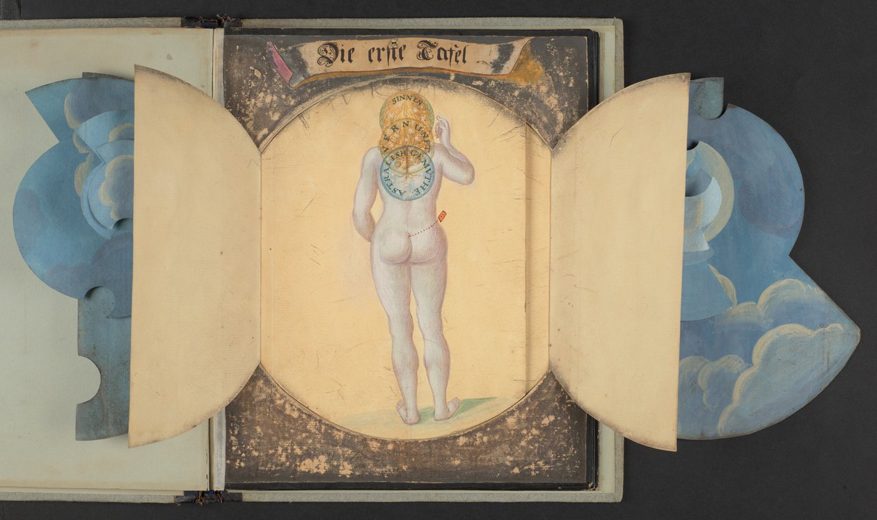 Tables Representing Man in Three Different States, Add MS 5788 by German School