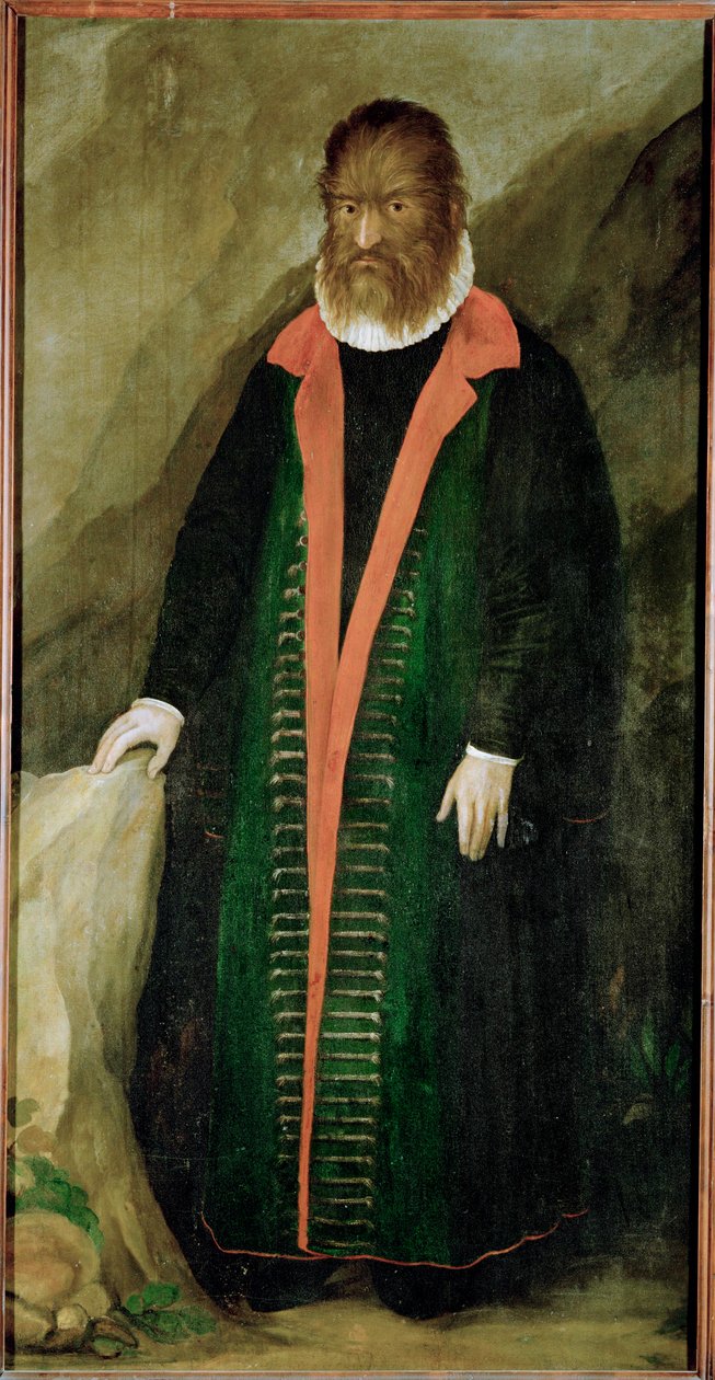 The Hairy Man, Petrus Gonzalvus, born 1556 on Tenerife by German School