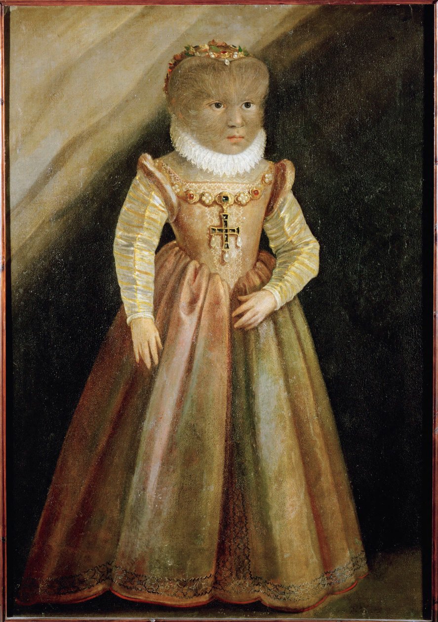 The Daughter of Petrus Gonzalvus, the Hairy Man from Teneriffa by German School