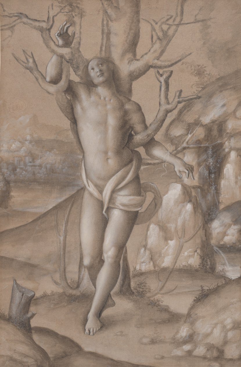 Saint Sebastian, ca. 1524 by Gerolamo Giovenone