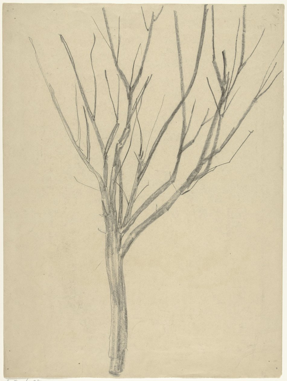 Bare Tree by Gerrit Willem Dijsselhof