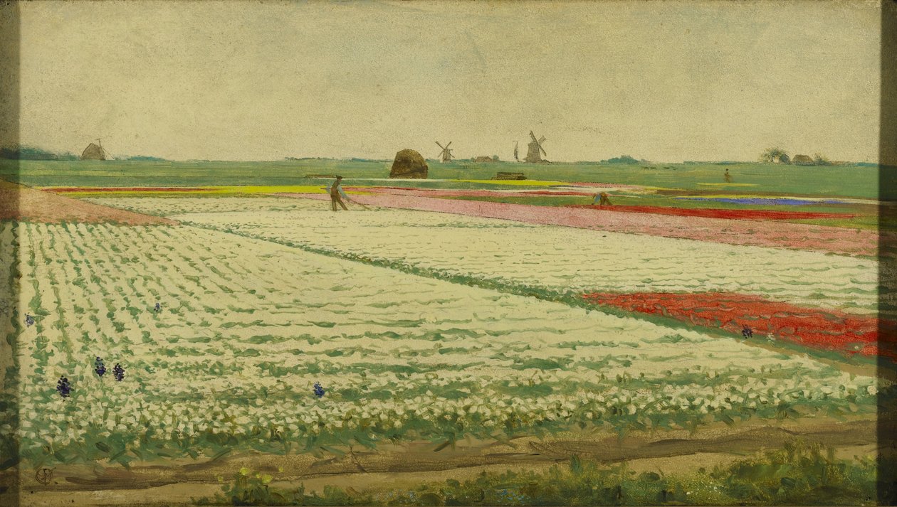 Tulip Fields by Gerrit Willem Dijsselhof