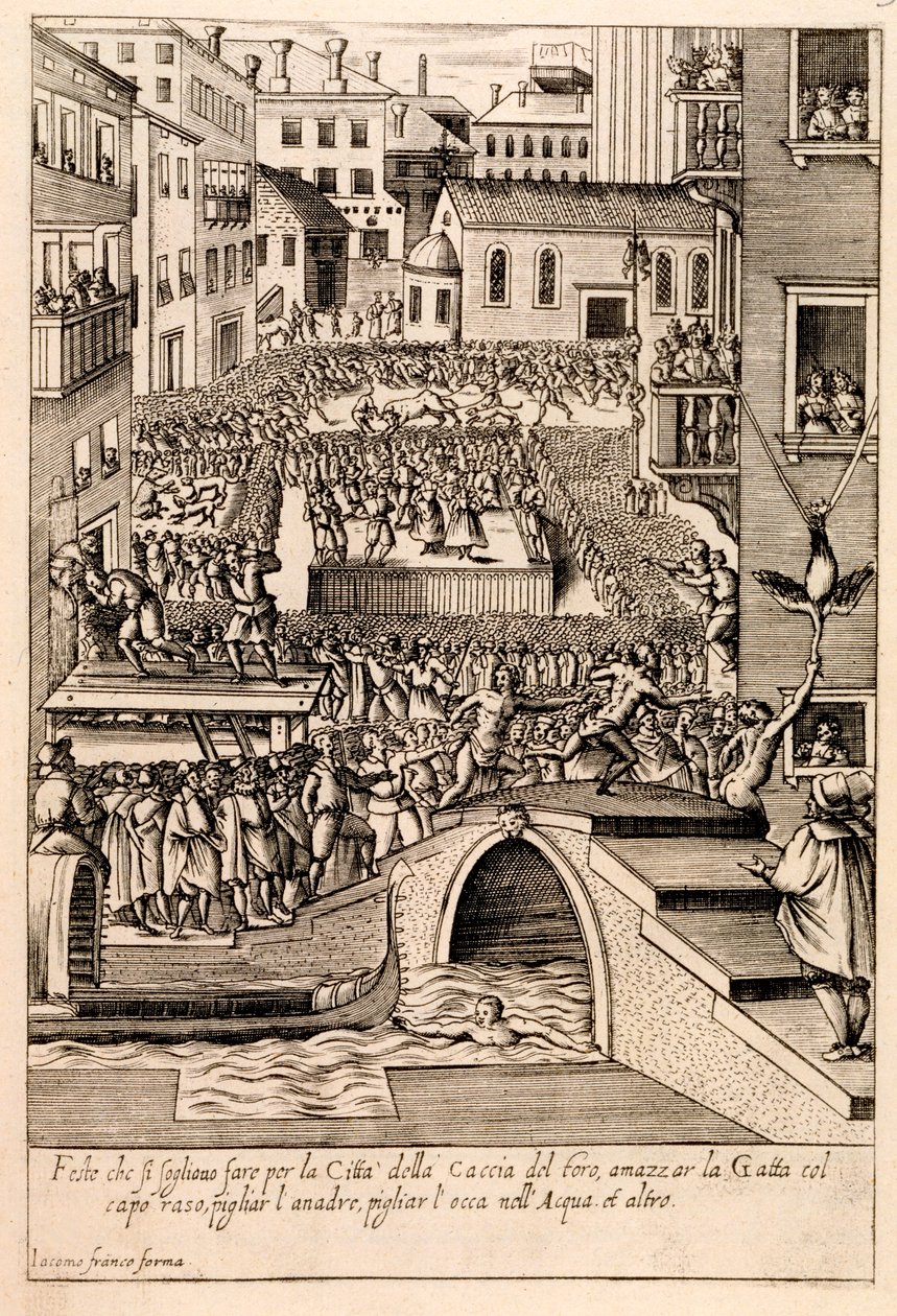 Animal Baiting at the Venetian 