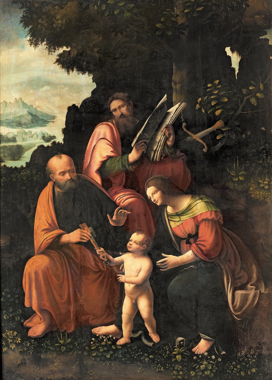 The Virgin and Child with SS. Peter and Paul by Gian Giacomo Caprotti