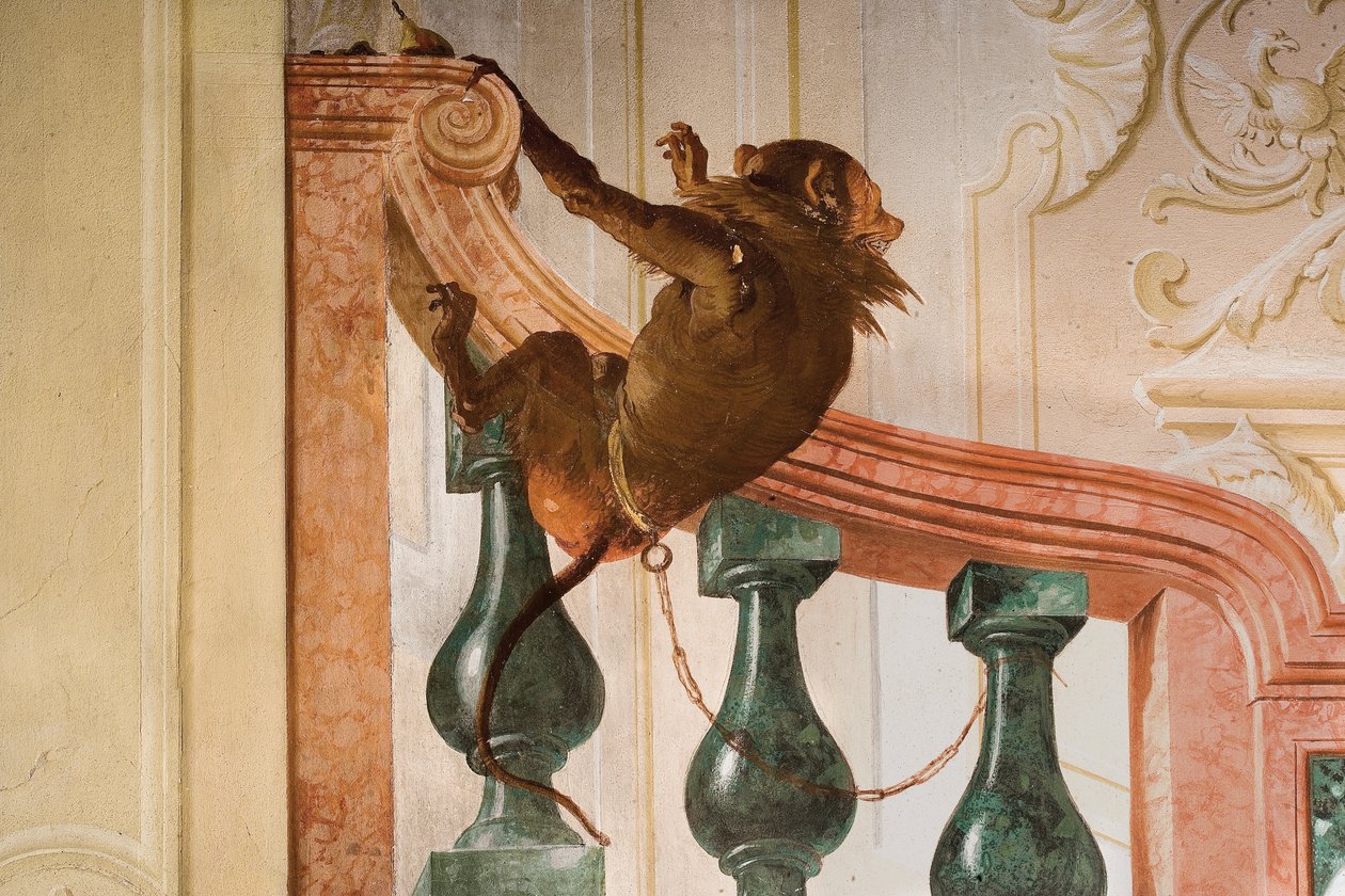 Monkey (detail), from the Room of Carnival Scenes in the Foresteria by Giovanni Domenico Tiepolo